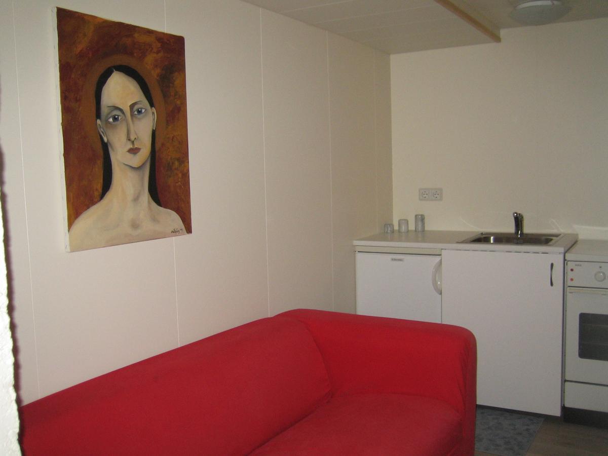 Hlitharendi Guesthouse Godafoss المظهر الخارجي الصورة